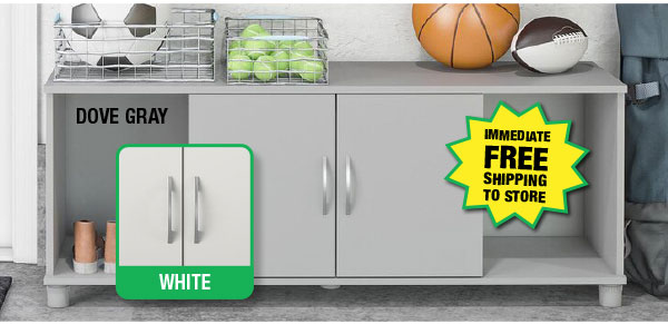 Storage Bench - ONLY $29.99!