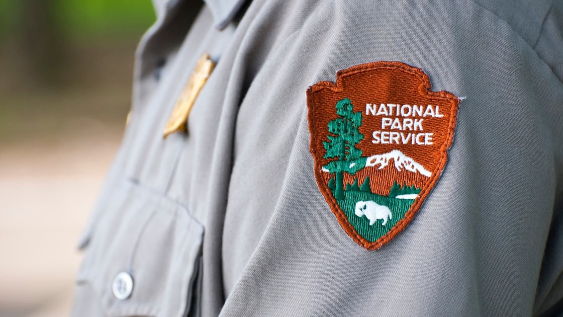 NPS Death Reporting