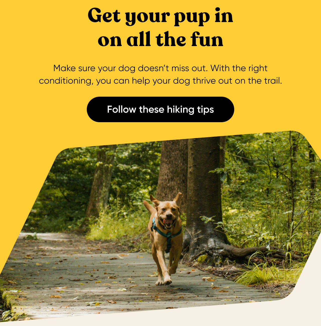 Follow these hiking tips