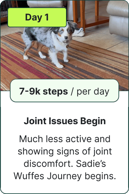 Joint Issues Begin