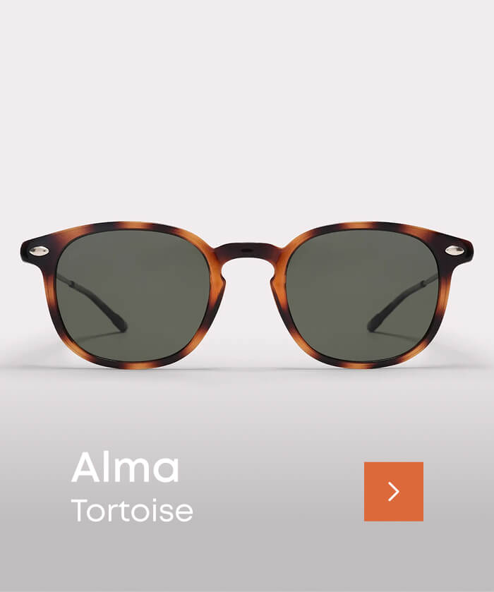 Alma tortoise