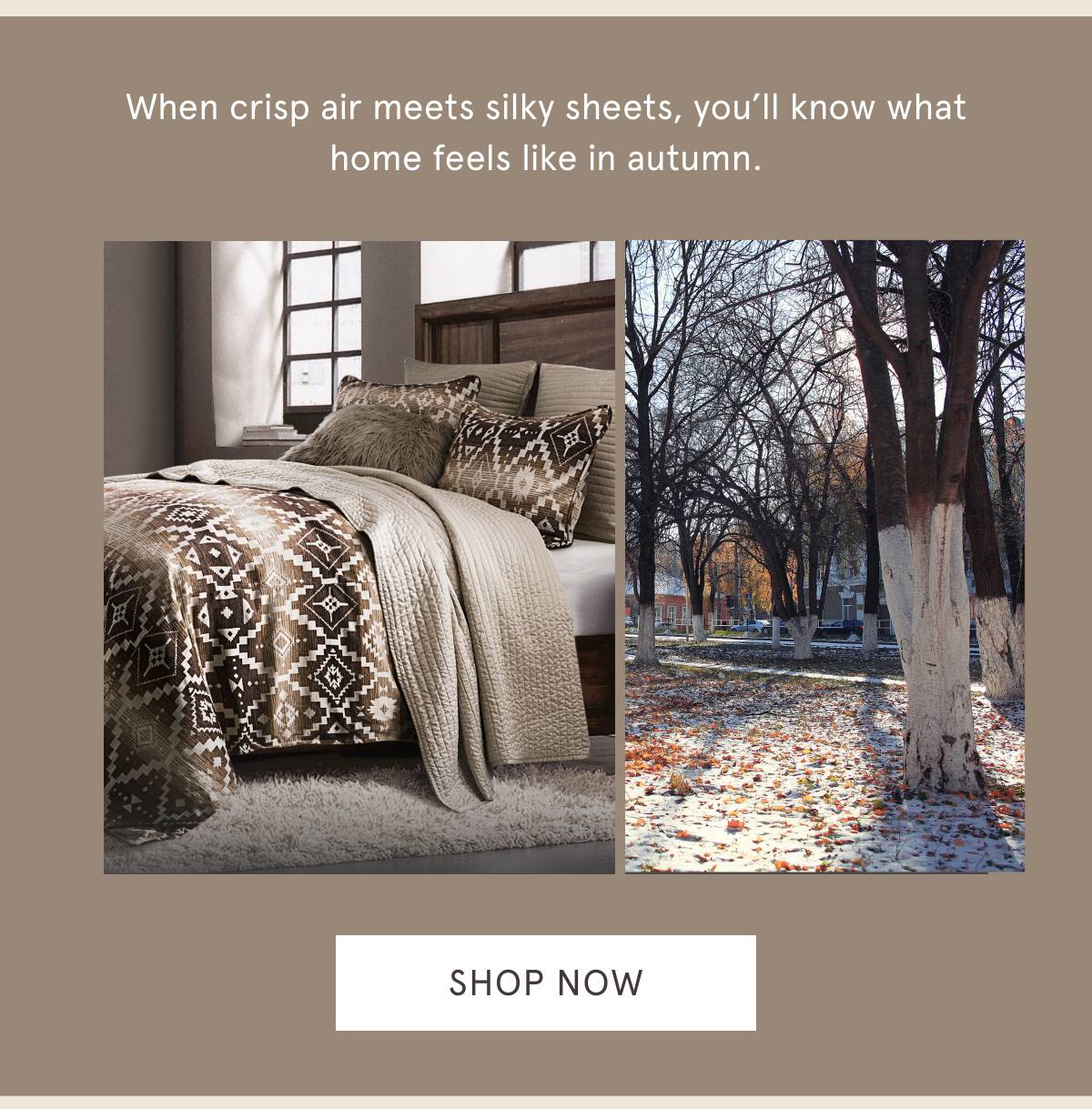 Shop Chalet Aztec Bedding Set