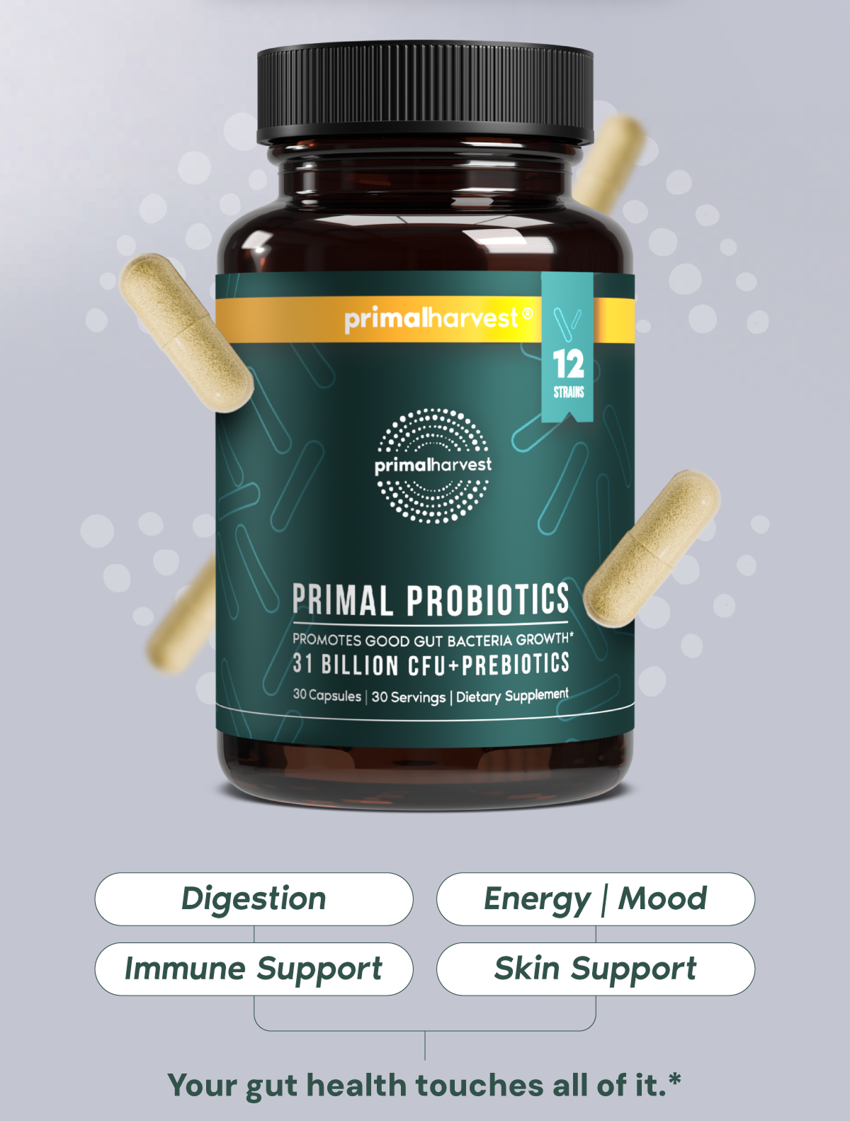 Digestion - Energy/Mood - Immune Support - Skin support