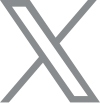 Lexus X