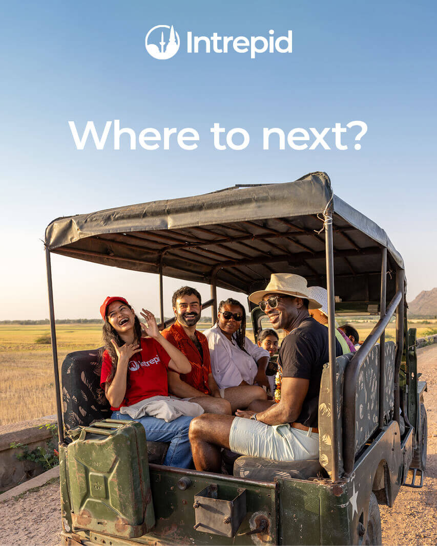 Where to next?