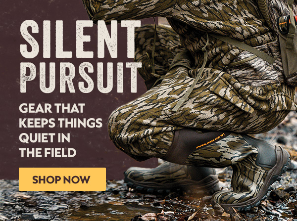 The Silent Pursuit