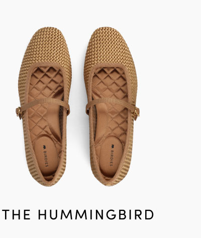 The Hummingbird