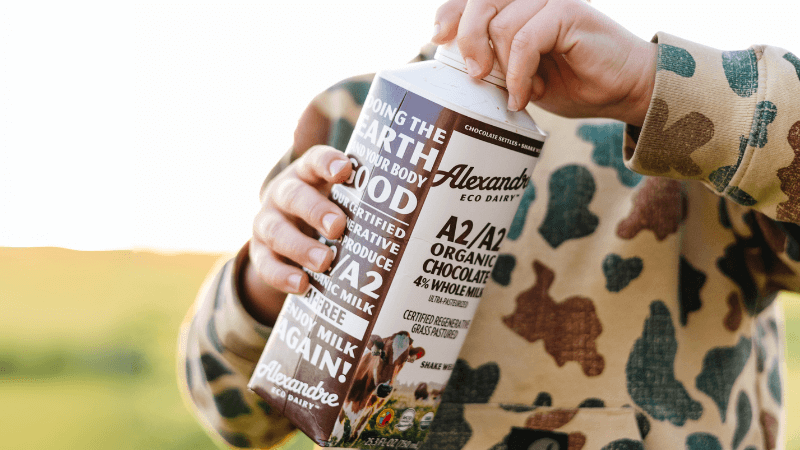 DIY Yogurt Pouches Image