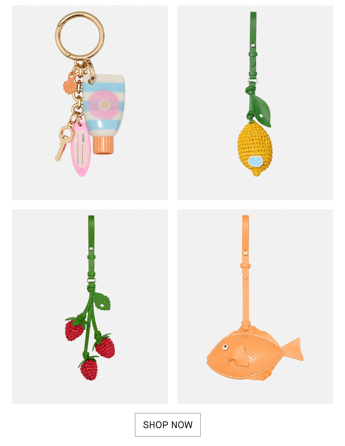 SHOP NOW