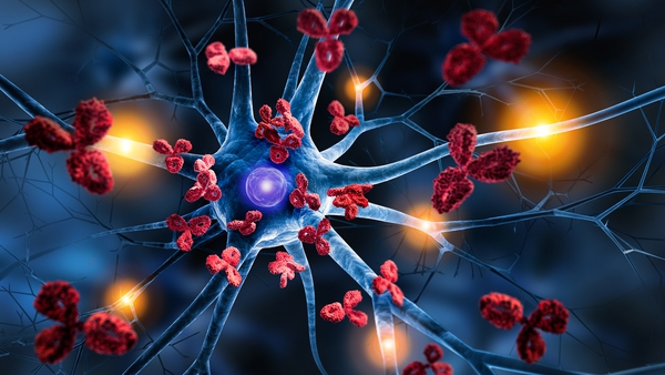 Nerve cell attacked by Antibodies - 3D illustration of  autoimmune disease