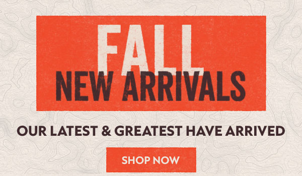 NEW FALL FINDS