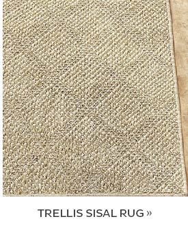 Trellis Sisal Rug