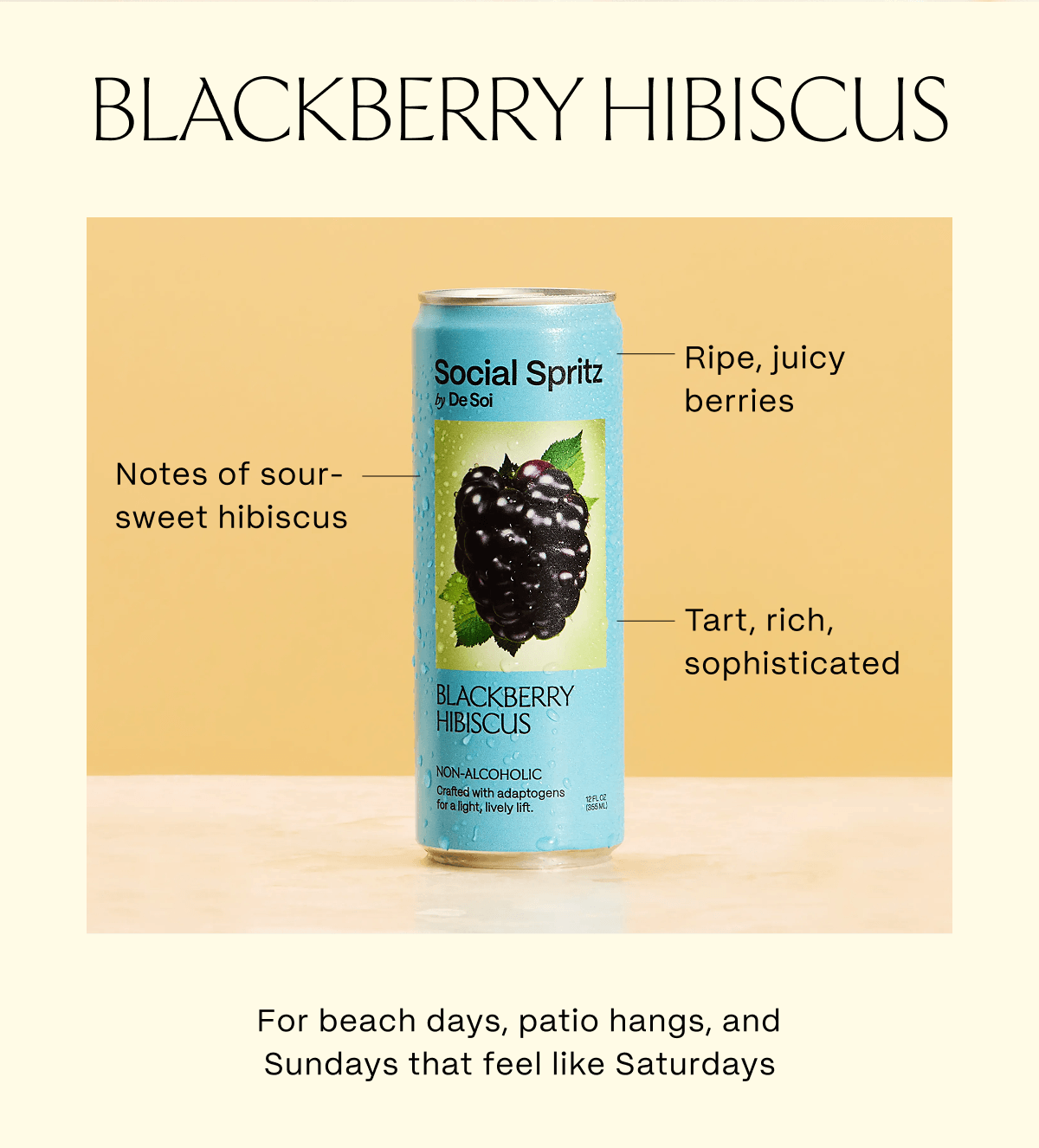 Blackberry Hibiscus | Notes of sour-sweet hibiscus Ripe, juicy berries | Tart, rich, sophisticated |  For beach days, patio hangs, and Sundays that feel like Saturdays