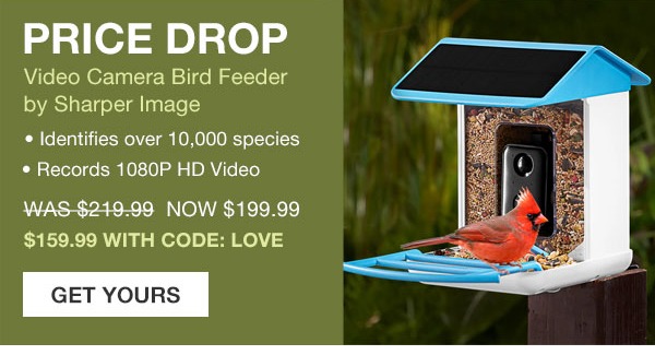Video Camera Bird Feeder by Sharper Image