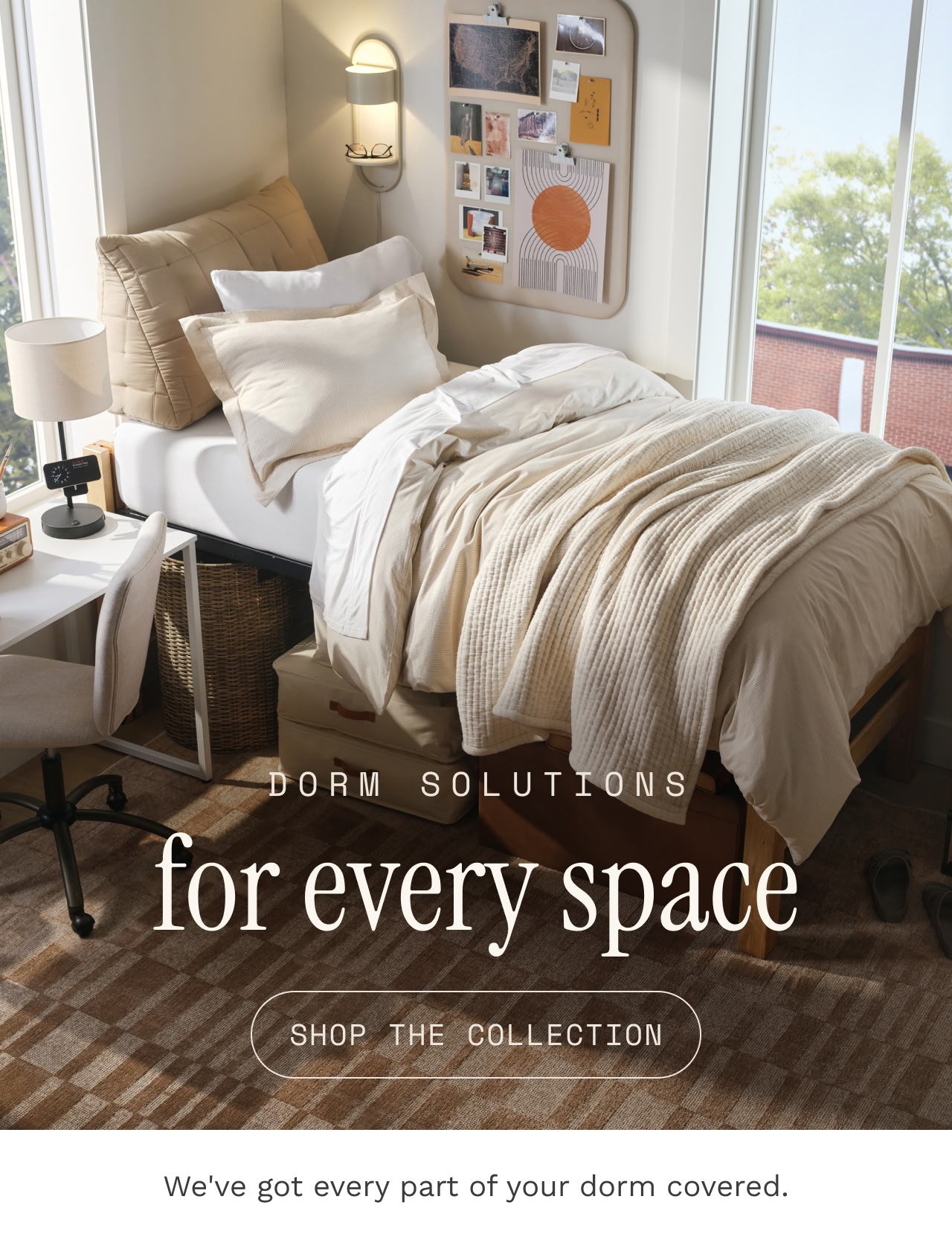 Shop Domify Collection