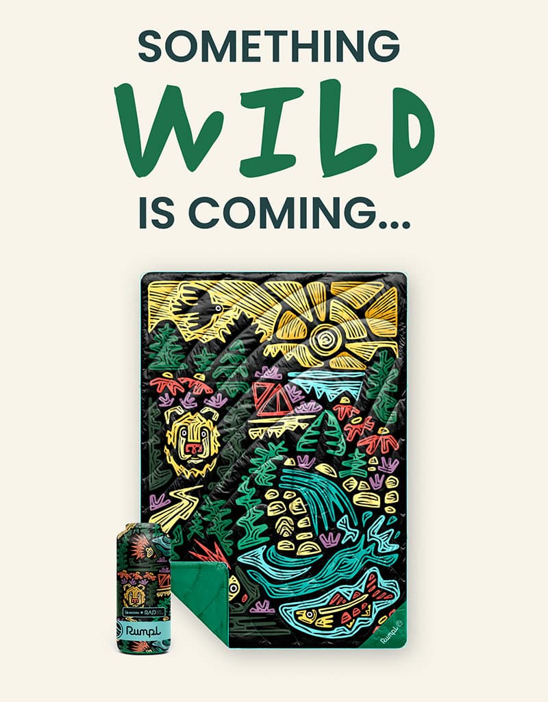 Something wild is coming...
