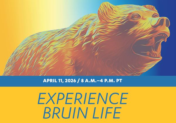 Illustration of bear above "Experience Bruin Life" in yellow and blue