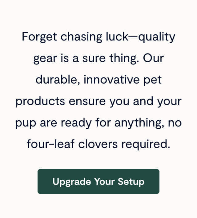 Upgrade Your Setup