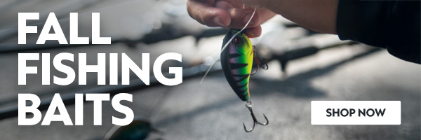 Fall Fishing Baits