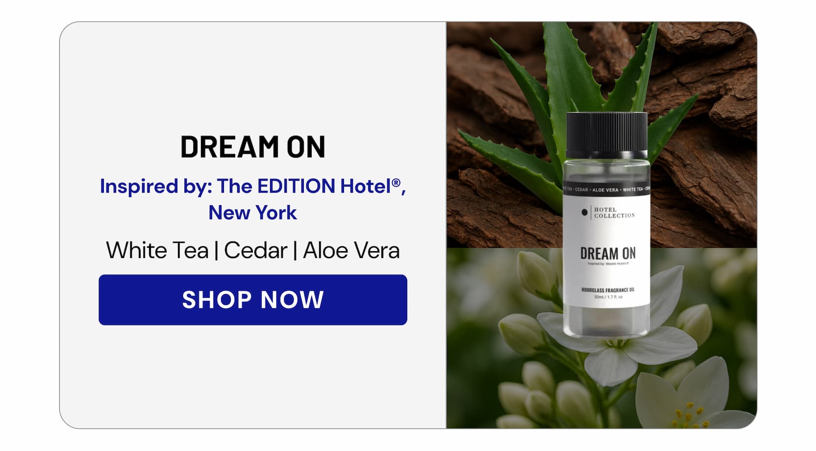DREAM ON