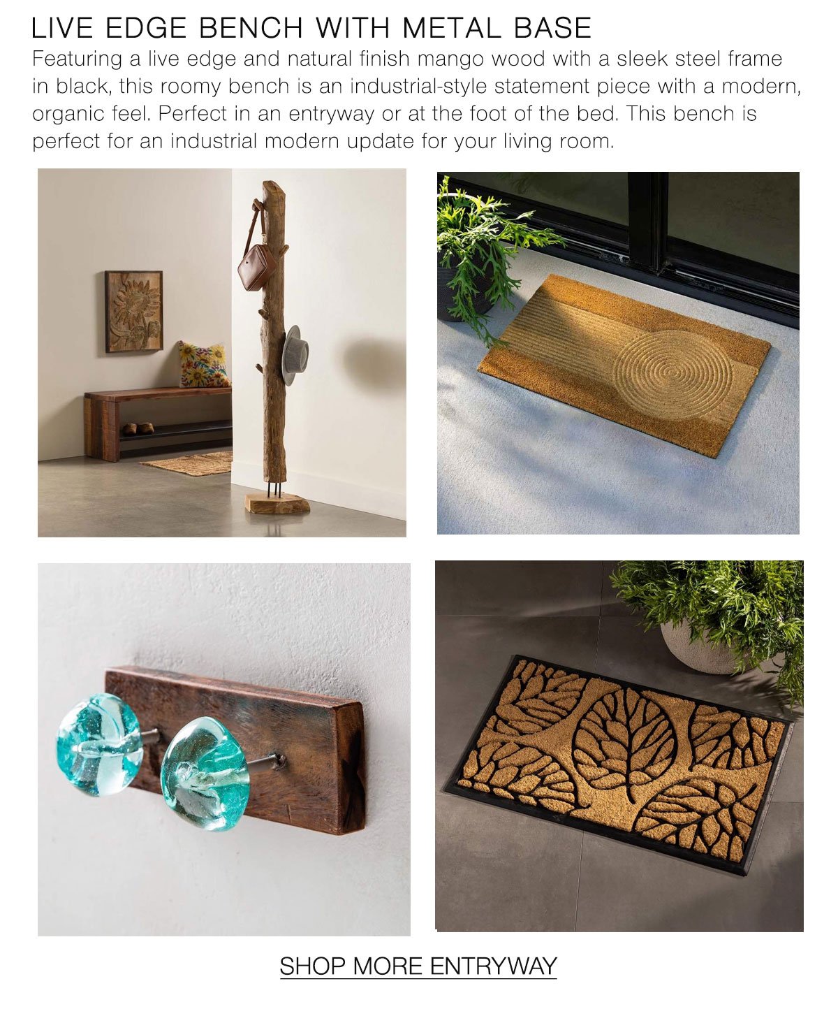 VTe-20260519-Entryway_02