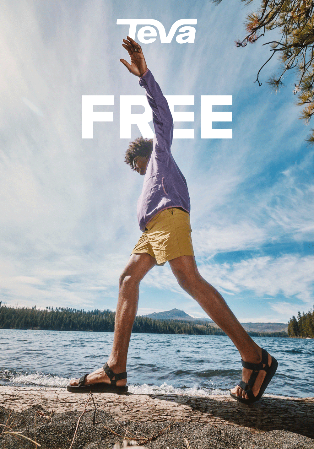 Free Expedited Shipping