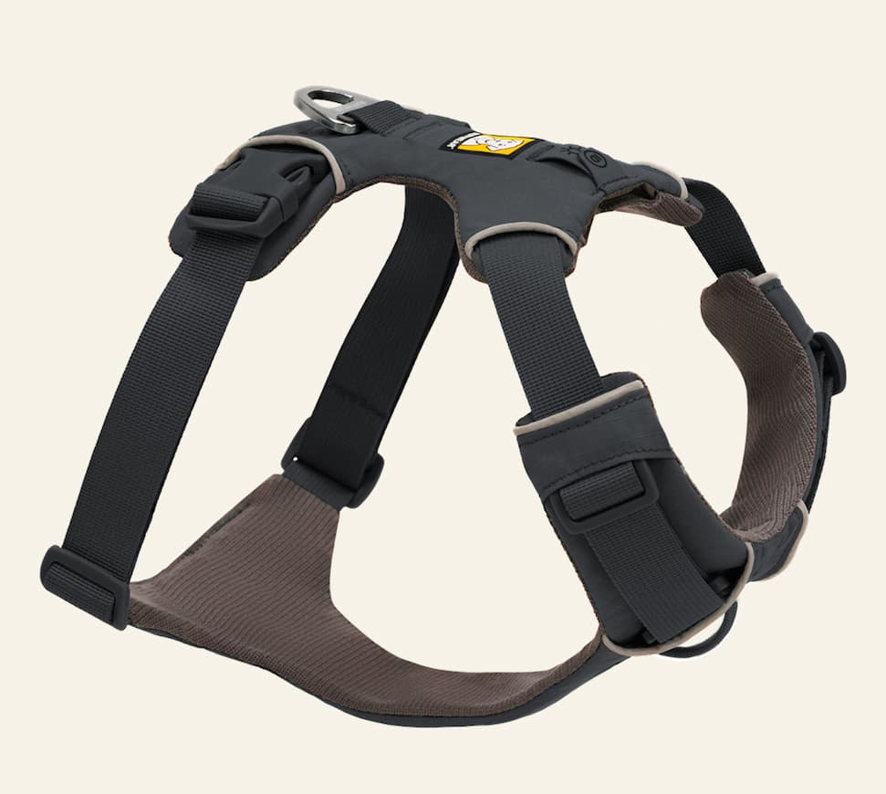 The Front Range® Dog Harness in Basalt gray