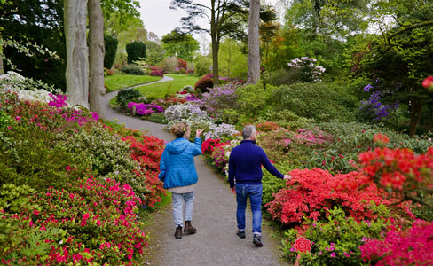 Bodnant Garden