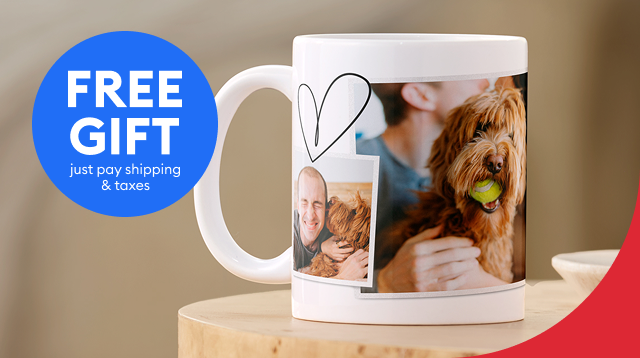 Free gift, just pay shipping & taxes