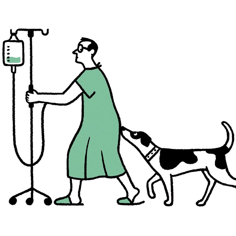 Dog walking behind a patient.
