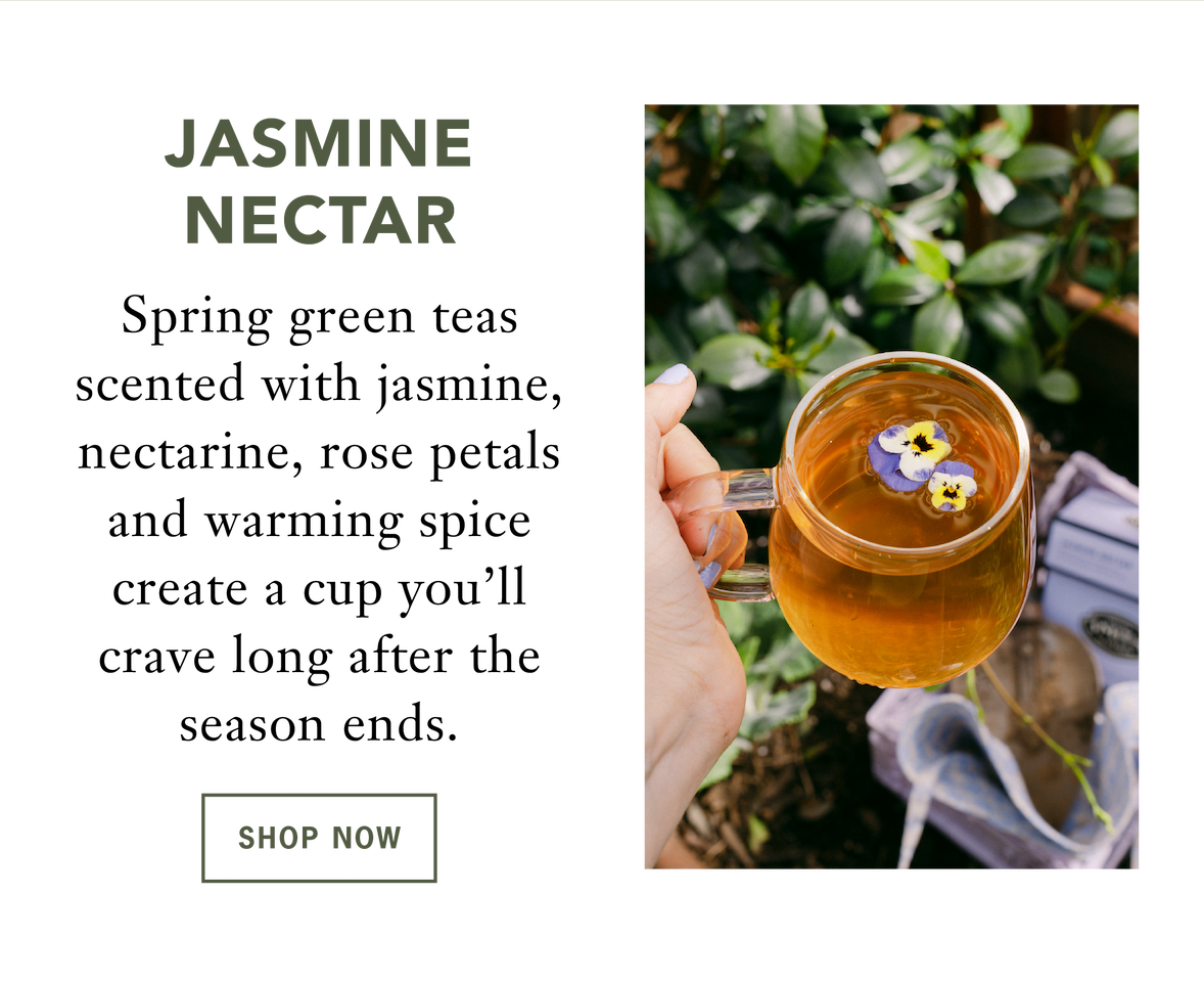 Jasmine Nectar   Spring green teas scented with jasmine, nectarine, rose petals and warming spice create a cup you'll crave long after the season ends.   Shop Now 