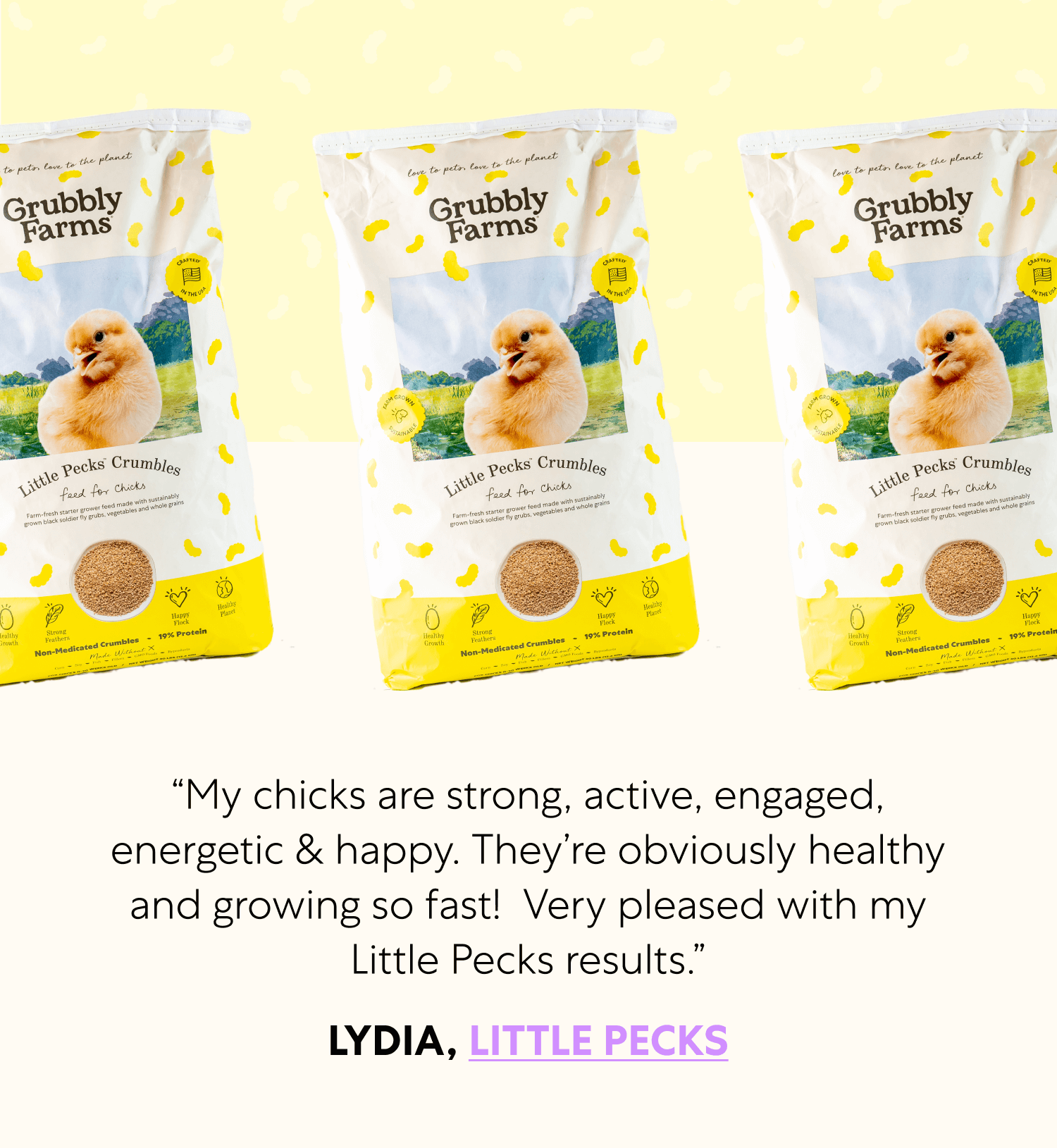 “My chicks are strong, active, engaged, energetic & happy. They’re obviously healthy and growing so fast!  Very pleased with my Little Pecks results.” Lydia, Little Pecks