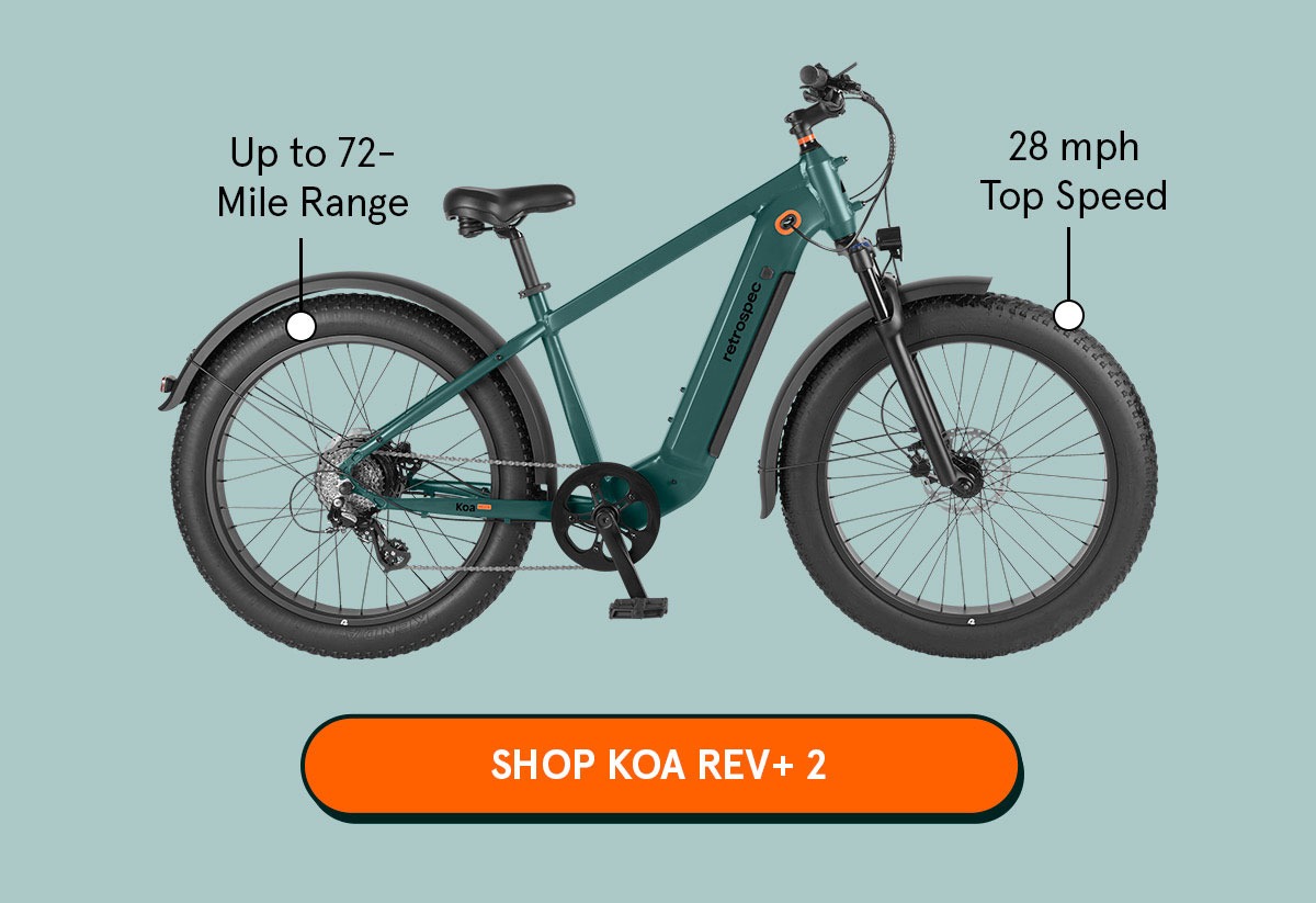 Shop Koa Rev+ 2