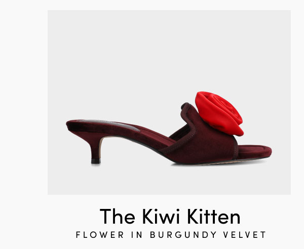 The Kiwi Kitten Flower In Burgundy Velvet