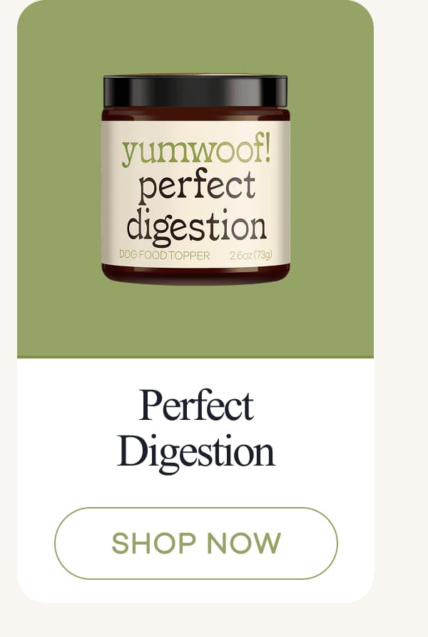Perfect Digestion | shop now