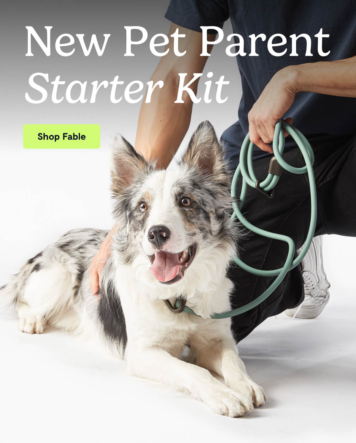 New Pet Parent Starter Kit
