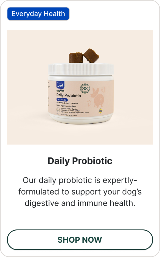Shop Daily Probiotic