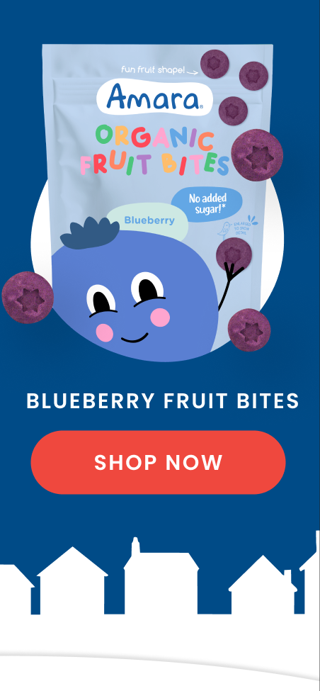 Blueberry Fruit Bites