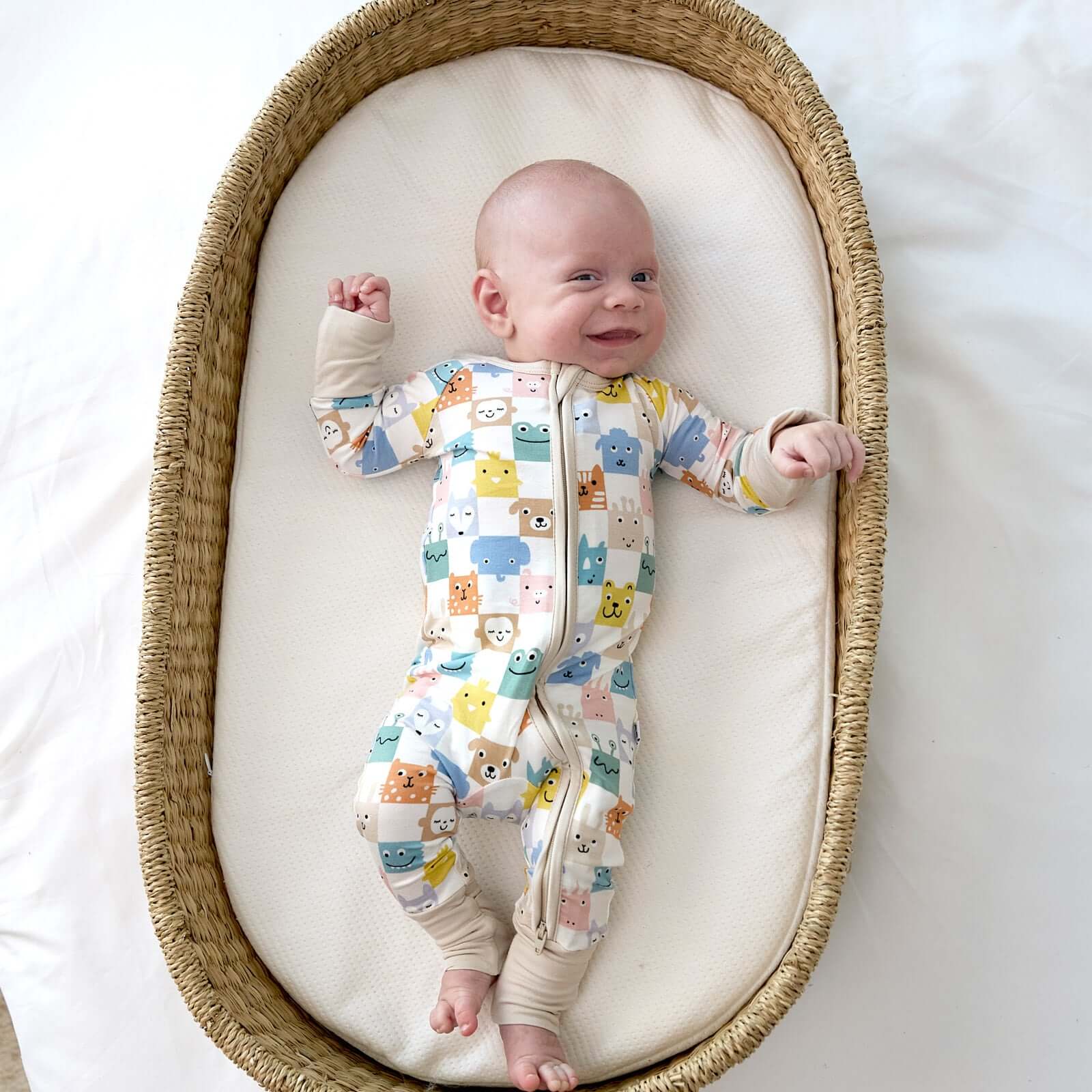 Image of Check Mates Zippy