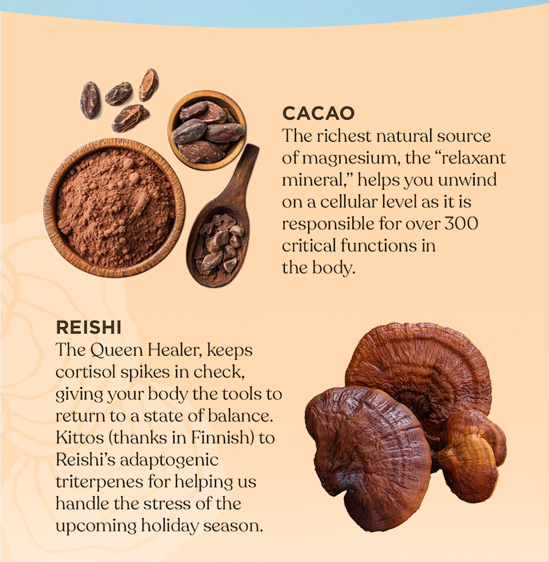 Cacao + Reishi