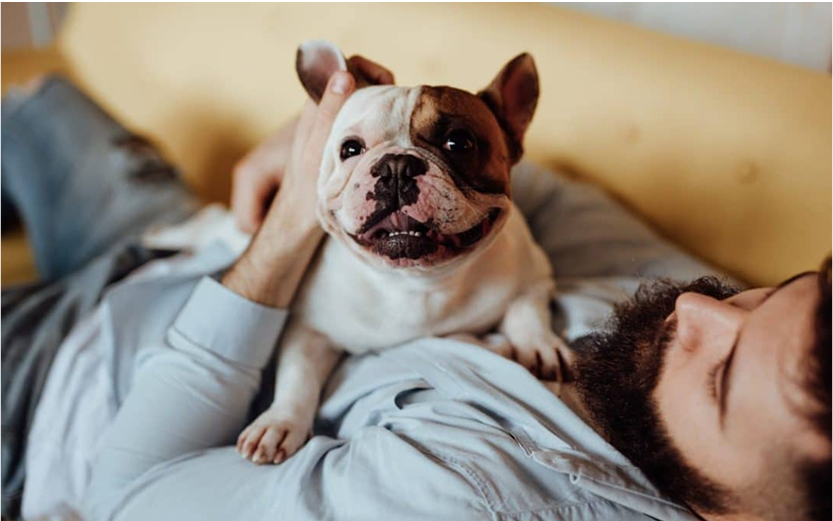 15 Ways to Know Your Dog Is Happy with You