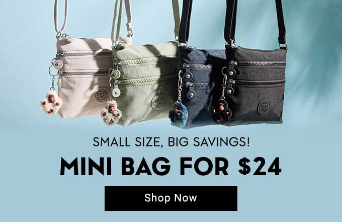$24 Mini Bags