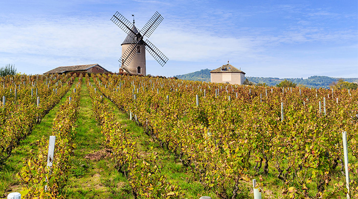 Travel to the heart of Beaujolais 