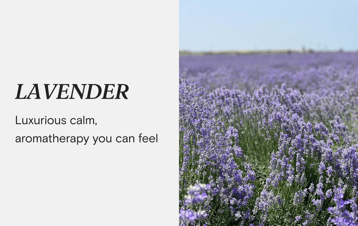 LAVENDER - Luxurious calm, aromatherapy you can feel