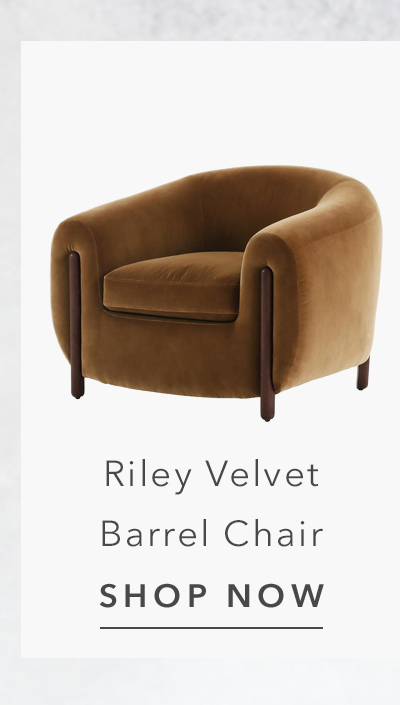 Riley Mid Century Modern Brown Velvet Performance Barrel Chair