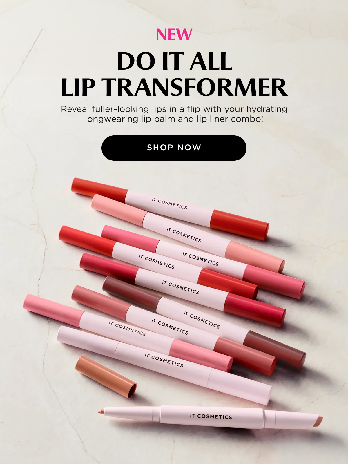 DO IT ALL LIP TRANSFORMER 