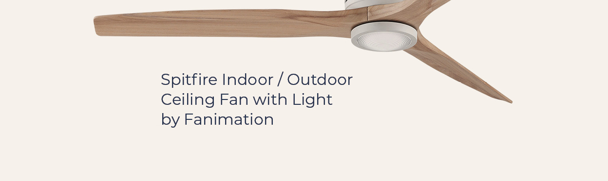 Spitfire Indoor / Outdoor Ceiling Fan with Lightby Fanimation