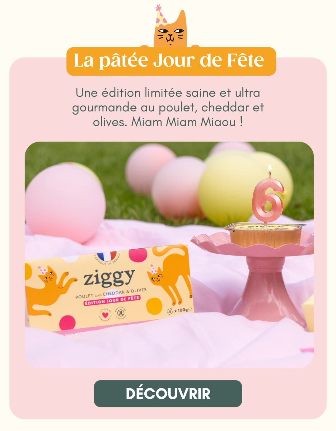 La pâtée Jour de Fête