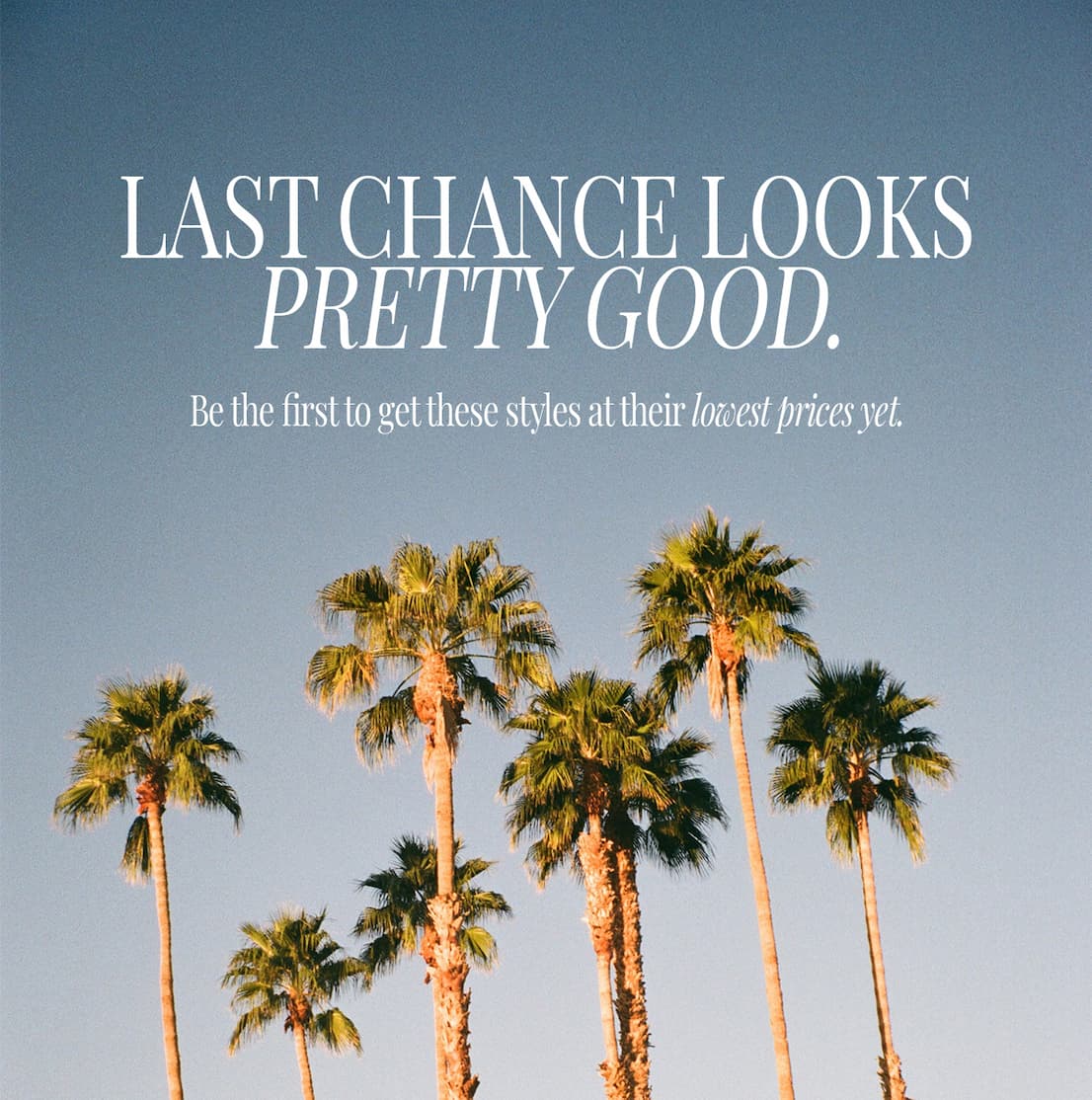 LAST CHANCE LOOKS PRETTY GOOD.