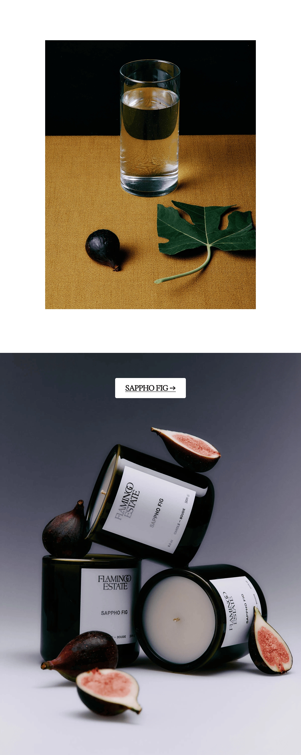 Sappho Fig